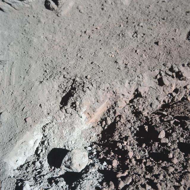 Apollo 11 50th Anniversary Astronaut Parade