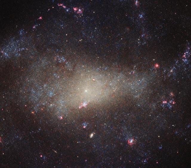 Hubble’s Hunting Dog Galaxy