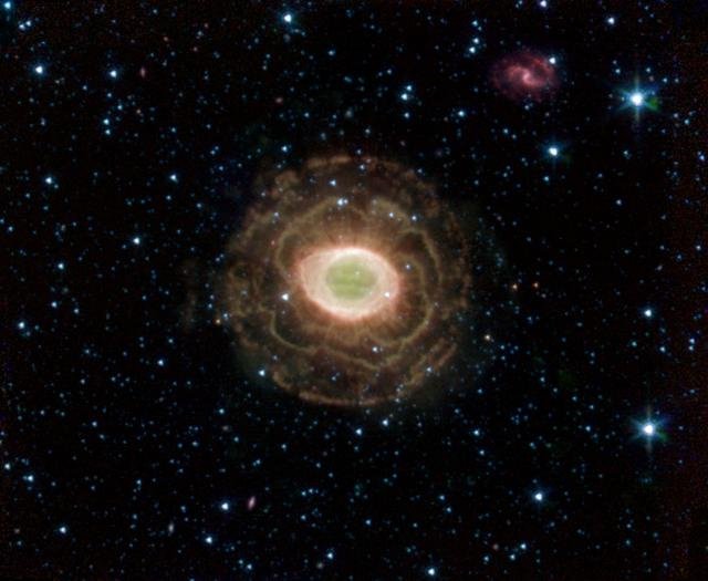 Ring Beholds a Delicate Flower